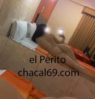 Haga clic en la imagen para ver una versión más grande

Nombre:	sarait.jpg
Visitas:	6829
Size:	52,4 KB
ID:	27178